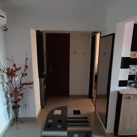 Apartment Apartament Mircea *