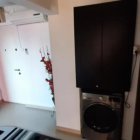 Apartment Apartament Mircea