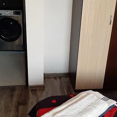 Apartament Mircea Apartment