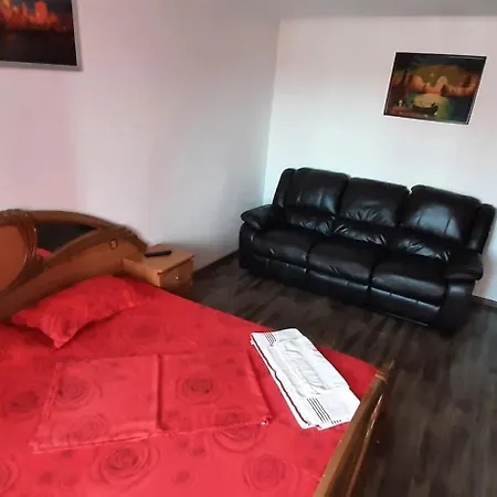 Apartament Mircea Apartment