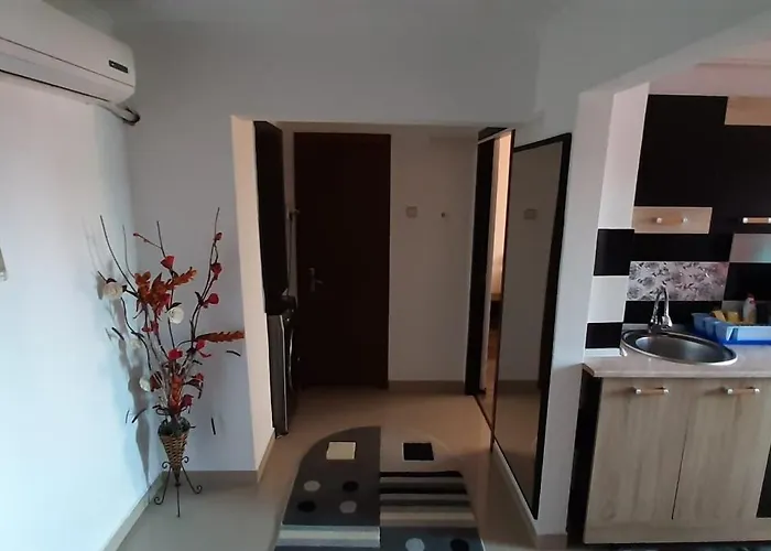 Apartment Apartament Mircea *