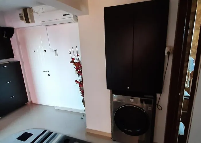 Apartment Apartament Mircea