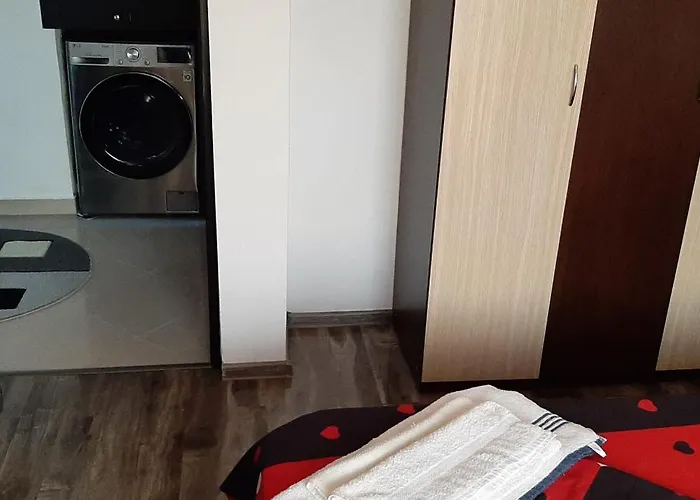 Apartament Mircea Apartment