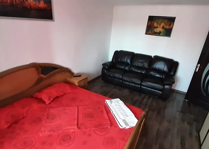 Apartament Mircea Apartment