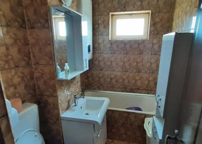 Apartment Apartament Mircea *