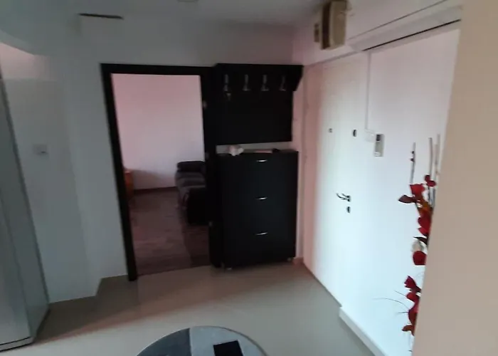 Apartament Mircea Apartment