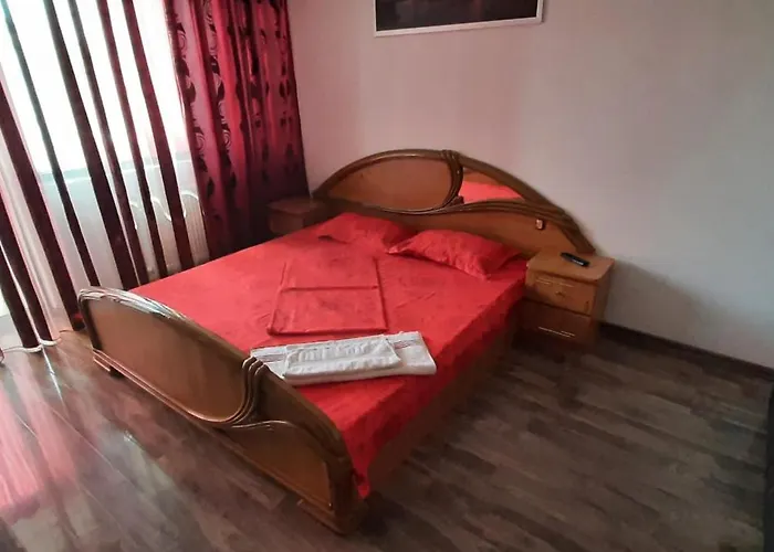 Apartment Apartament Mircea *