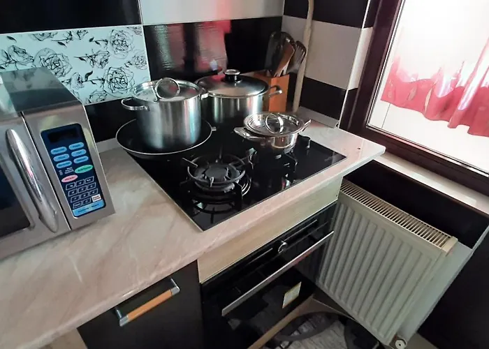 Apartament Mircea Apartment